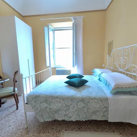 招待所 The Flower 比萨